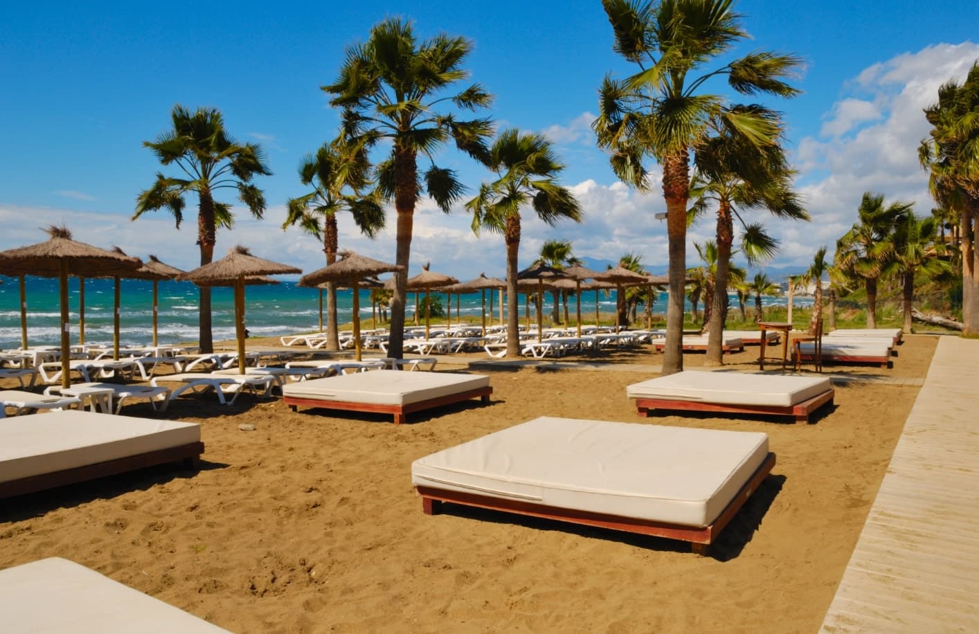 elviria palm