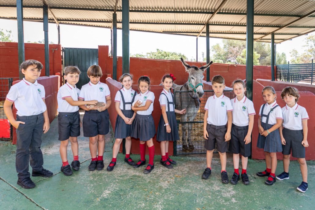 colegio alboran