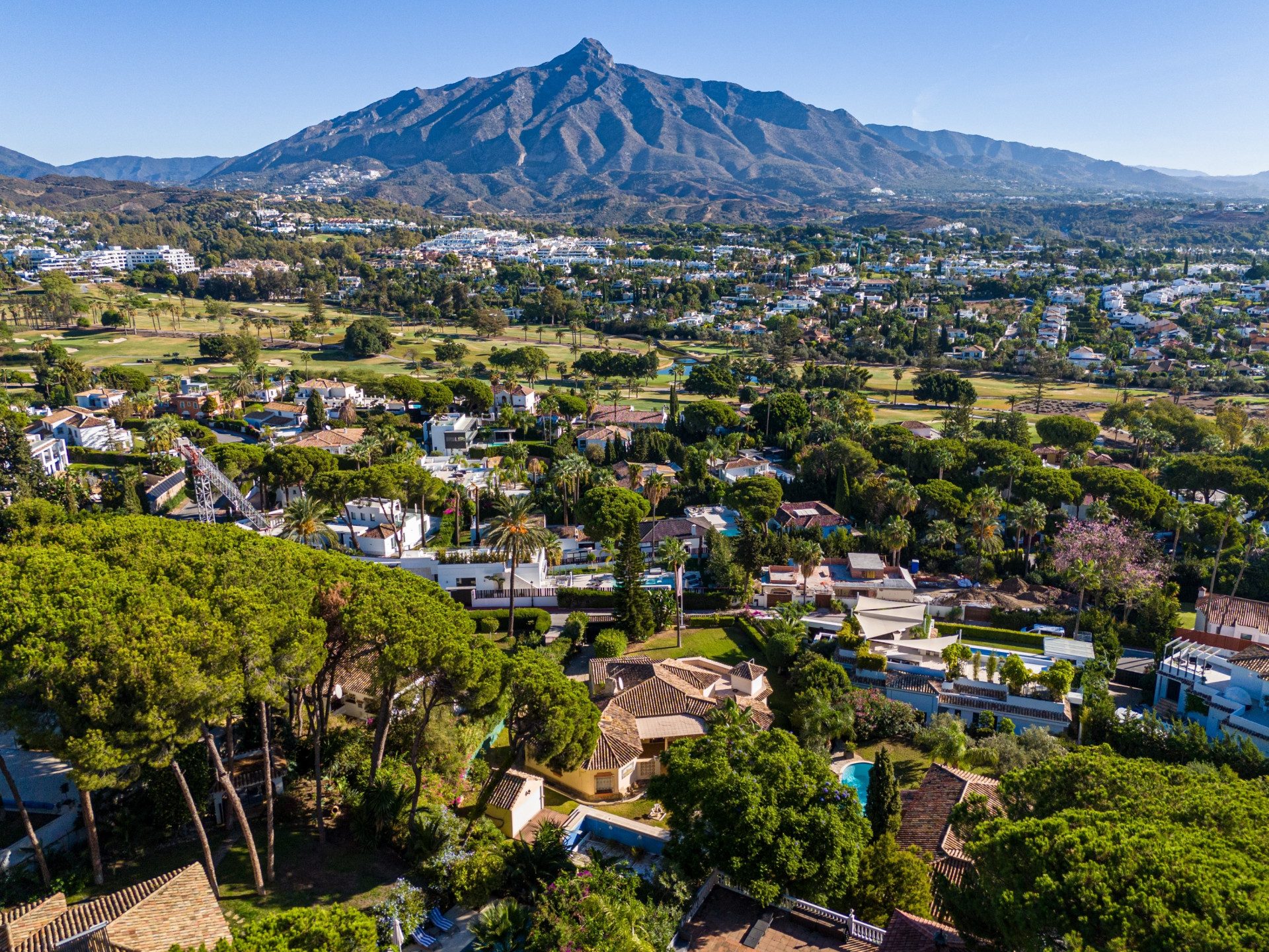 Nueva andalucia