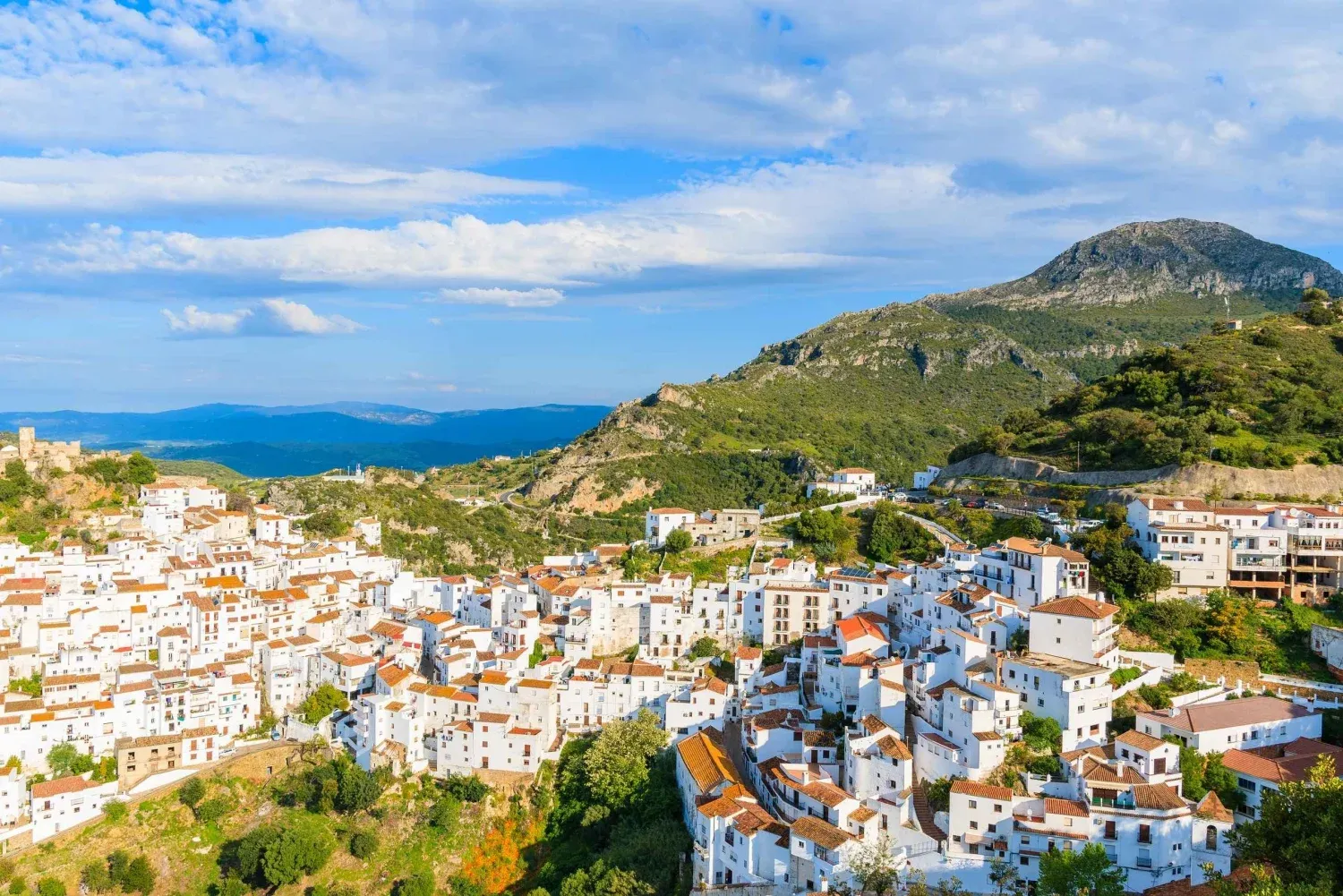 casares-village-and-traditional-market-4553351